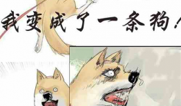 娱乐圈吃瓜小狗小说在线阅读,吃瓜小狗的甜蜜复仇之旅